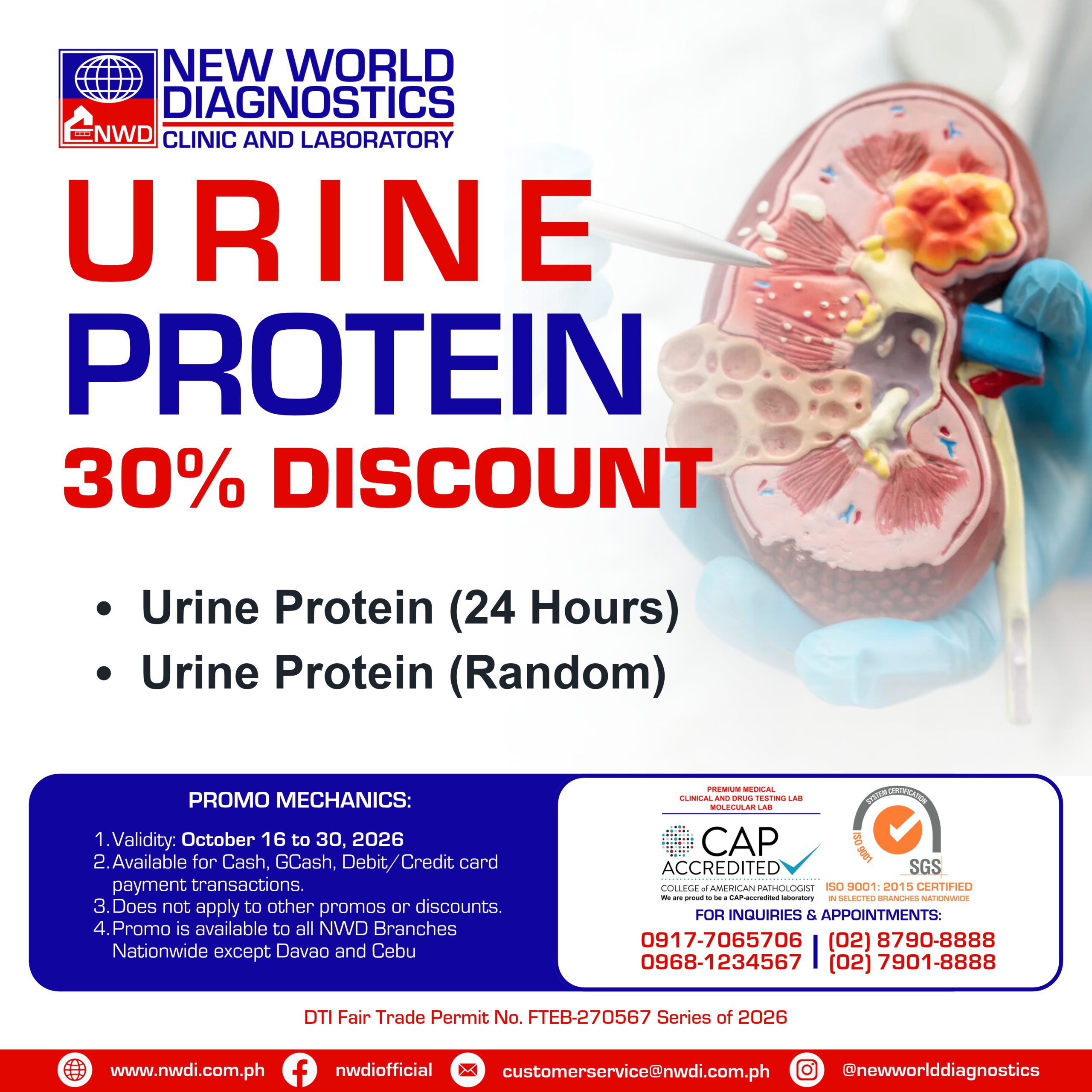 Urine Protein